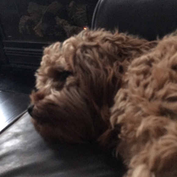 Meet your Posher, Christine - Picture 1 of 1